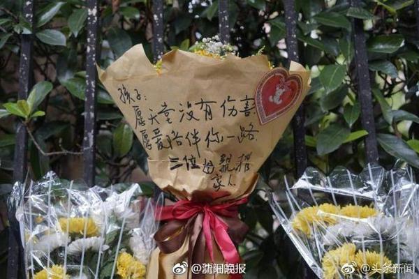 麻将来了最新版